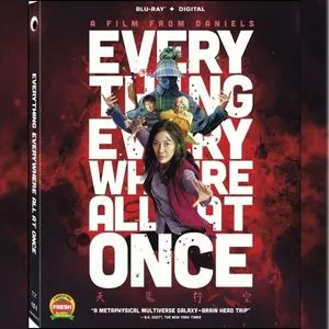 Download Everything Everywhere All at Once (2022) SonyLIV Movie [Hindi + English] 480p, 720p, 1080p